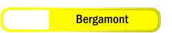 Bergamont
